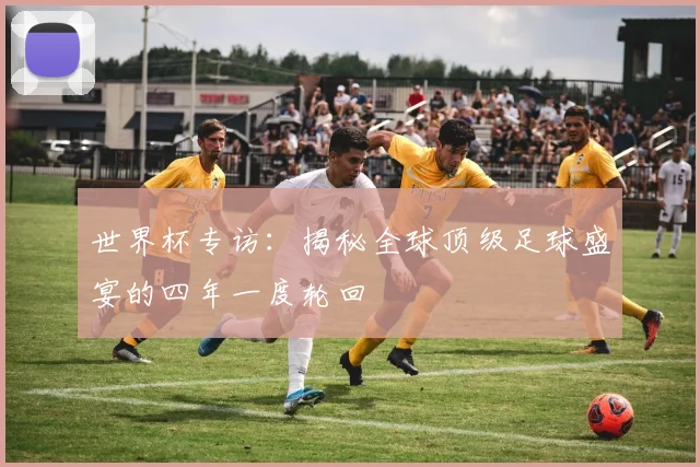 世界杯专访：揭秘全球顶级足球盛宴的四年一度轮回