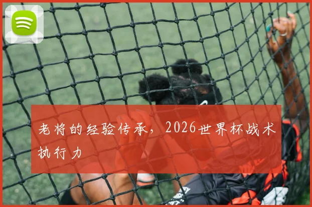老将的经验传承，2026世界杯战术执行力